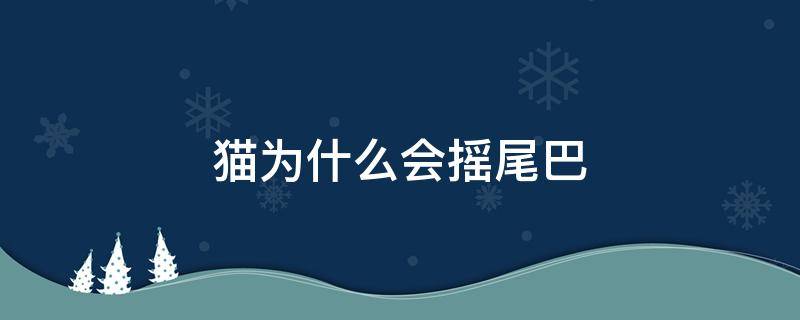 猫为什么会摇尾巴（猫为什么会摇尾巴尖）