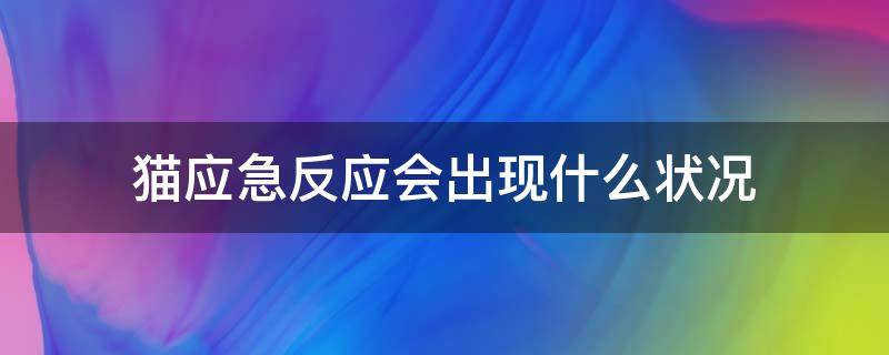 猫应急反应会出现什么状况 猫的应激反应是怎么样的