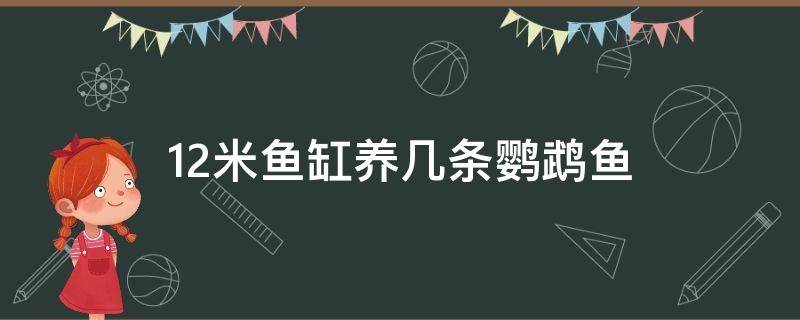 1.2米鱼缸养几条鹦鹉鱼 1.2米鱼缸养几条鹦鹉鱼水位多高合适