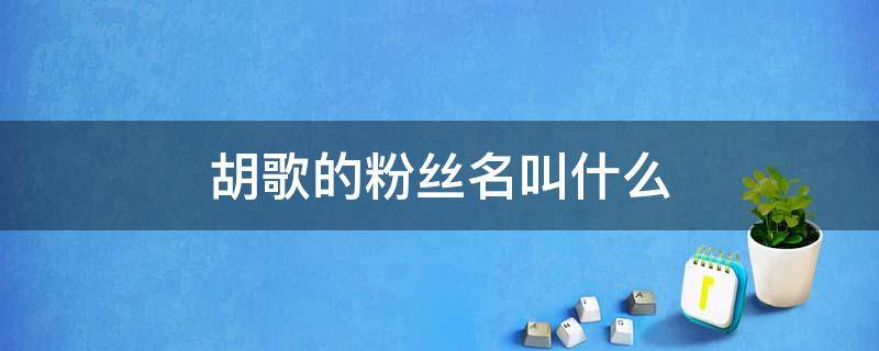 胡歌的粉丝名叫什么（胡歌粉丝名字叫什么）