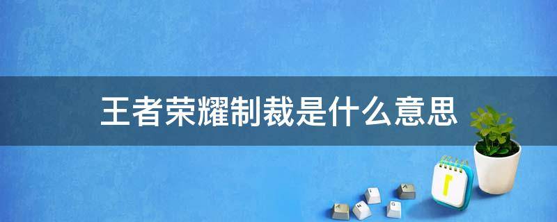 王者荣耀制裁是什么意思（王者荣耀里面说的制裁是什么意思）