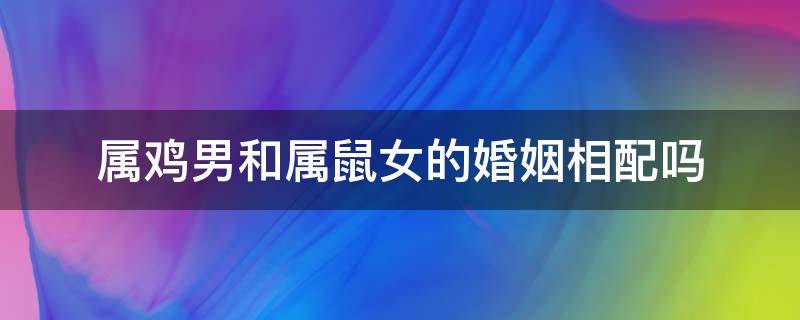 属鸡男和属鼠女的婚姻相配吗 属鸡男与属鼠女配婚姻怎样