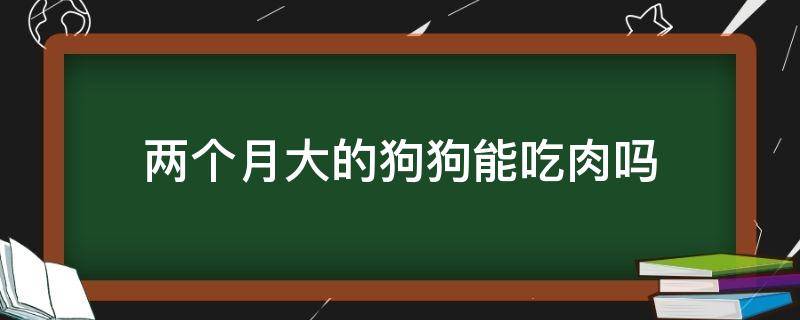 两个月大的狗狗能吃肉吗 狗狗两个多月可以吃肉吗