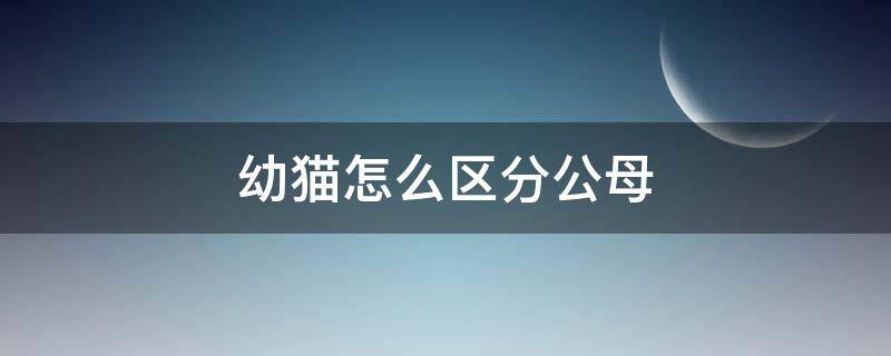 幼猫怎么区分公母 幼猫怎么区分公母图解