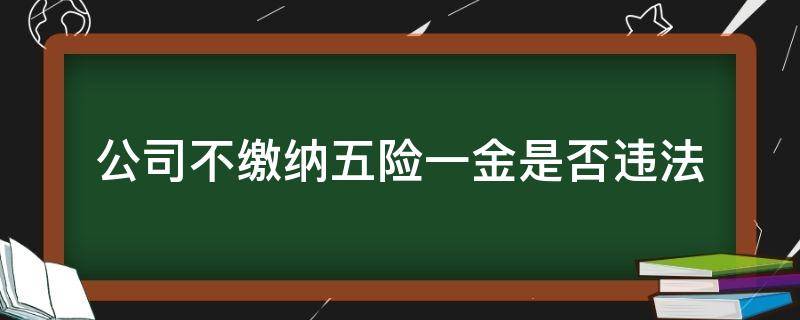 公司不缴纳五险一金是否违法（公司只缴纳五险不缴纳一金违法吗）