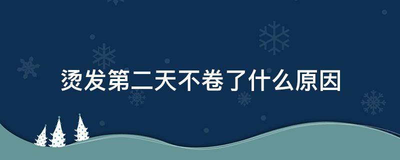 烫发第二天不卷了什么原因（头发烫完第二天就不卷了是为什么）