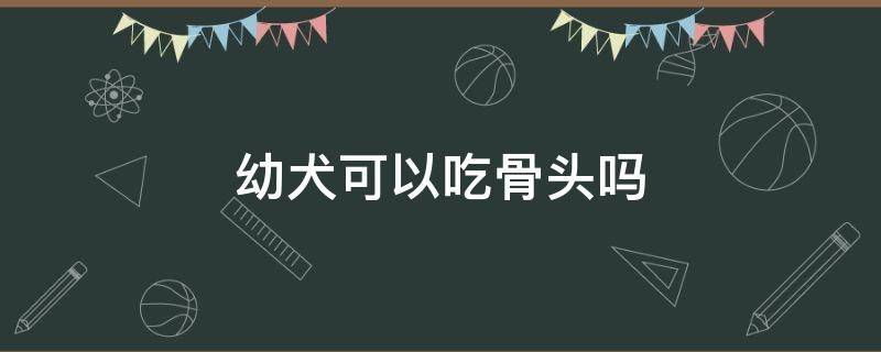 幼犬可以吃骨头吗（拉布拉多幼犬可以吃骨头吗）