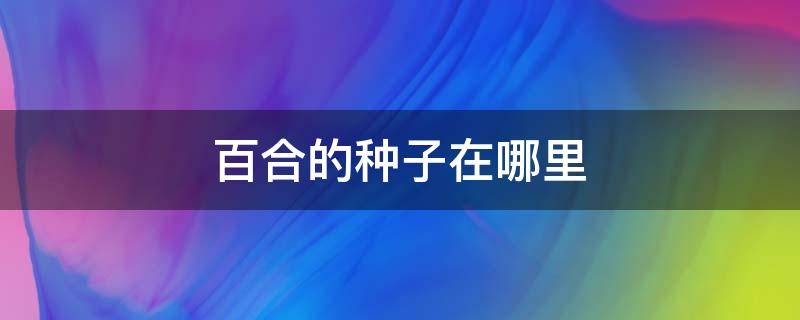 百合的种子在哪里（百合种子在哪个位置）