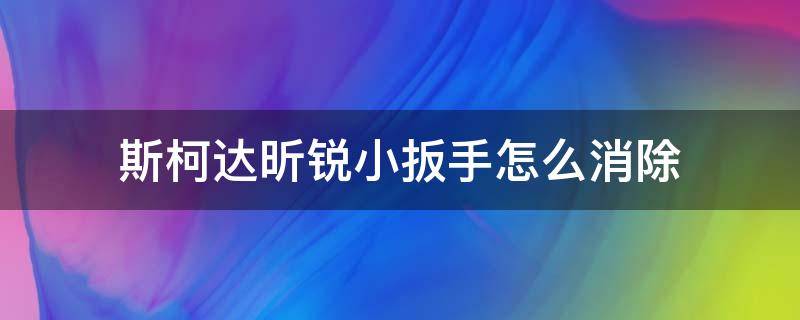 斯柯达昕锐小扳手怎么消除 斯柯达昕锐小扳手怎么消除1.4t