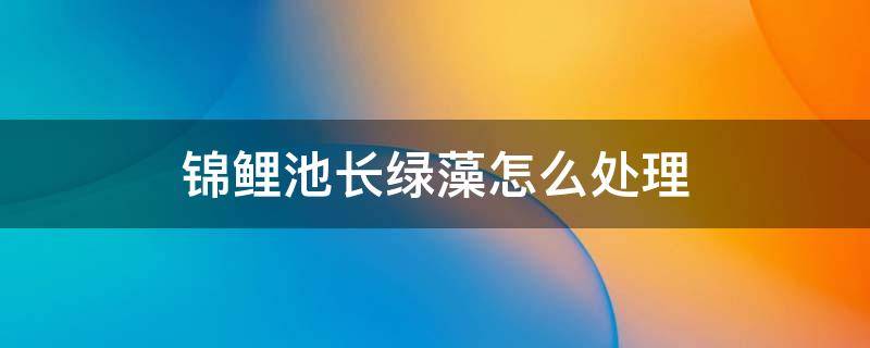 锦鲤池长绿藻怎么处理 锦鲤鱼池如何清除藻