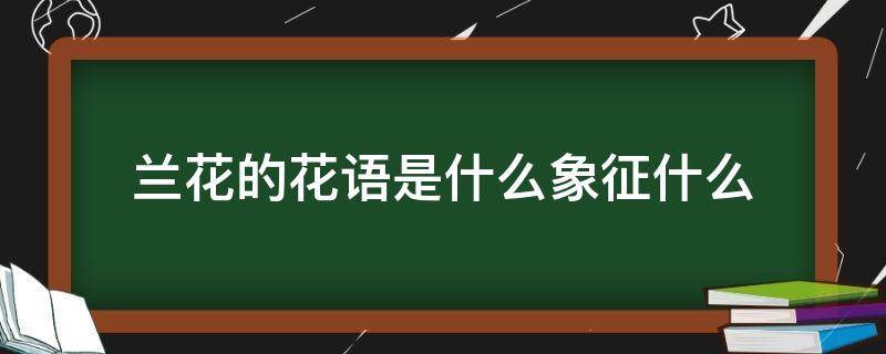 兰花的花语是什么象征什么（兰花的花语含义是什么）