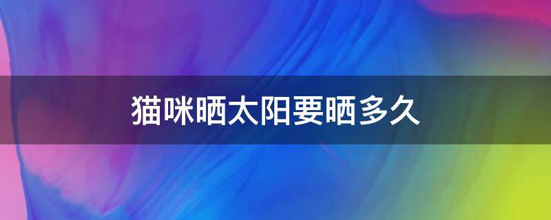 猫咪晒太阳要晒多久 猫咪晒太阳能晒多久