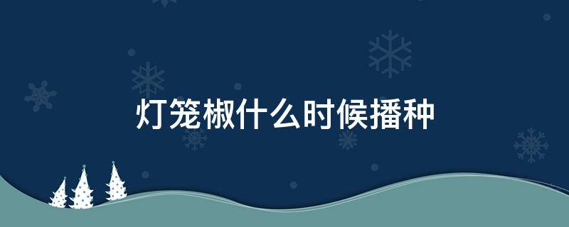 灯笼椒什么时候播种 灯笼辣椒什么时候种