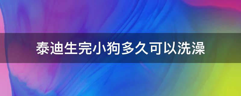 泰迪生完小狗多久可以洗澡（泰迪生产后多久可以洗澡）