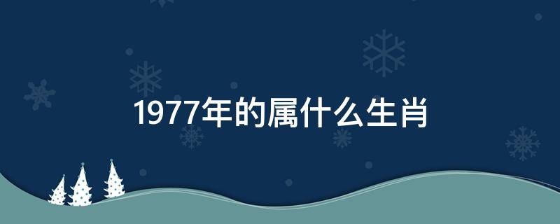 1977年的属什么生肖 1977年的属什么生肖的呀