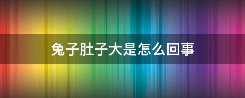 兔子肚子大是怎么回事（兔子肚子大是怎么回事?）