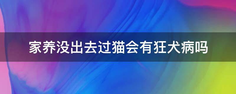 家养没出去过猫会有狂犬病吗（猫不出去在家养会不会有狂犬病）