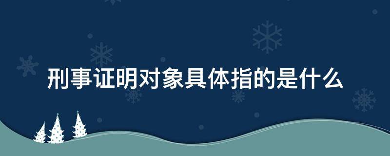 刑事证明对象具体指的是什么（刑事案件的证明对象）