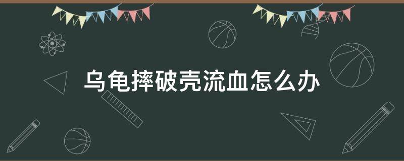 乌龟摔破壳流血怎么办 乌龟壳摔破了流血怎么办