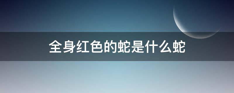 全身红色的蛇是什么蛇 全身红色的蛇是什么蛇?