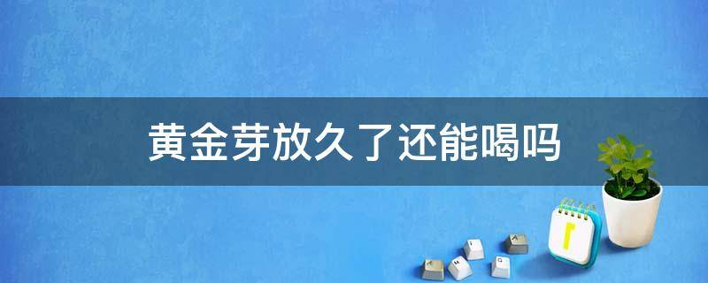 黄金芽放久了还能喝吗 黄金芽隔年能喝吗