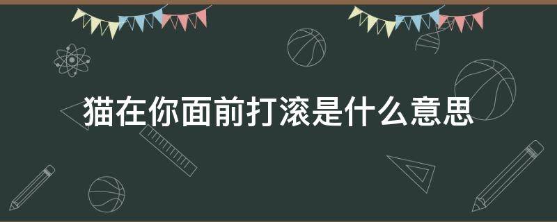 猫在你面前打滚是什么意思（为什么猫在你面前打滚）