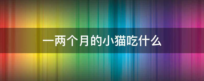 一两个月的小猫吃什么 刚出生一两个月的小猫吃什么