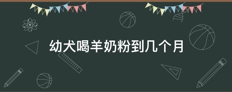 幼犬喝羊奶粉到几个月（幼犬吃几个月羊奶粉）