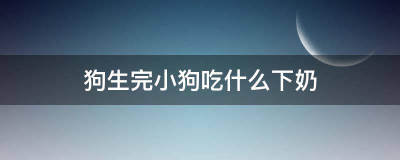 狗生完小狗吃什么下奶（狗狗生产之后吃什么下奶）