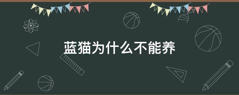 蓝猫为什么不能养 蓝猫为什么不能养在家里