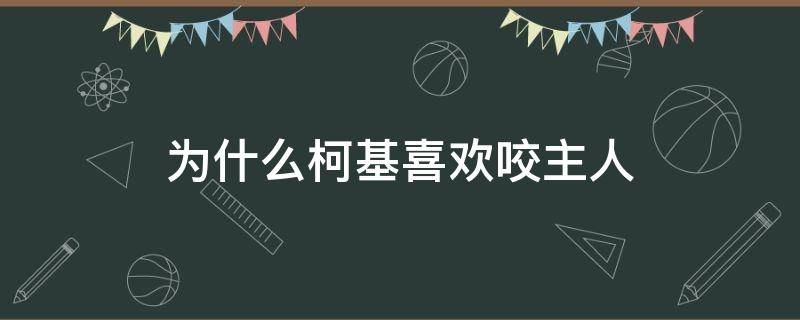 为什么柯基喜欢咬主人（为什么柯基喜欢咬主人脚后跟）