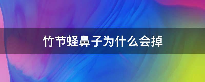 竹节蛏鼻子为什么会掉 竹节蛏死了是什么样子