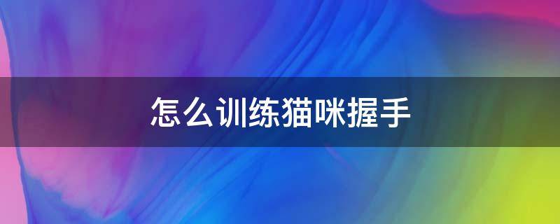 怎么训练猫咪握手 怎么训练小猫握手