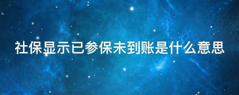 社保显示已参保未到账是什么意思 社保显示已参保未到账是什么意思呀