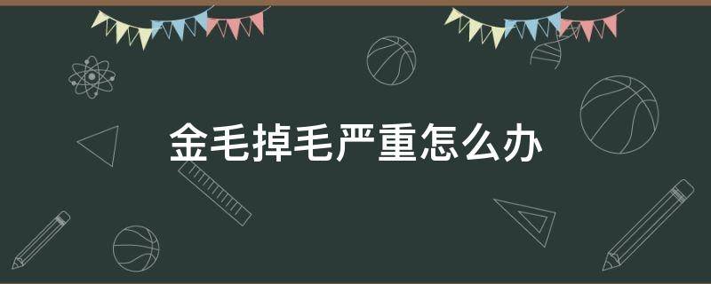 金毛掉毛严重怎么办（金毛掉毛严重怎么办,找到原因是关键）