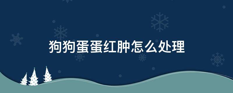 狗狗蛋蛋红肿怎么处理（狗狗蛋蛋红肿怎么办）