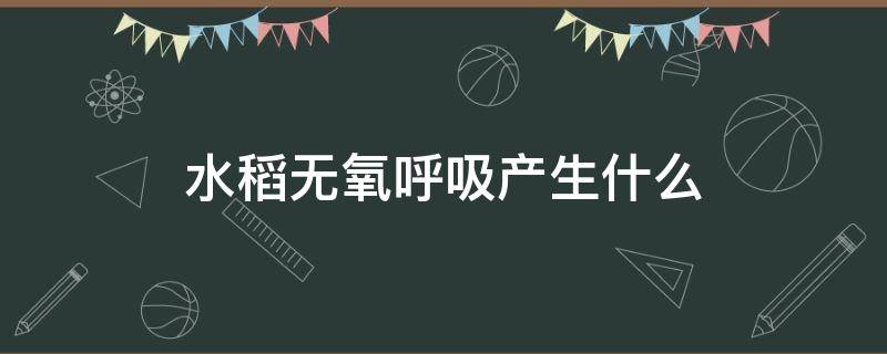 水稻无氧呼吸产生什么 水稻是无氧呼吸还是有氧呼吸