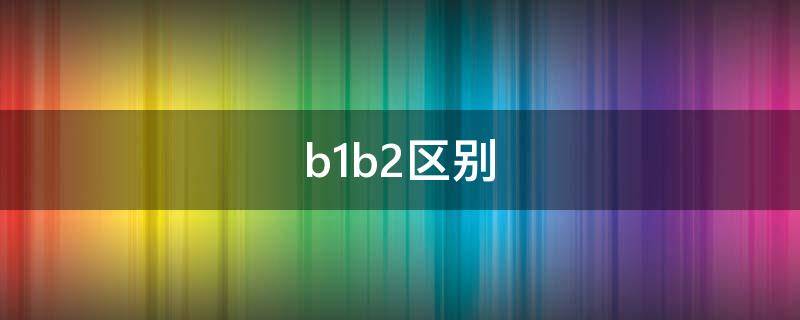 b1b2区别（b1b2区别哪个好一点）