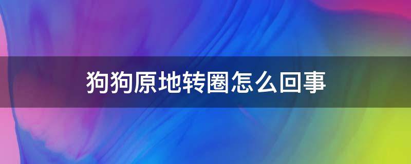 狗狗原地转圈怎么回事 狗狗原地转圈圈