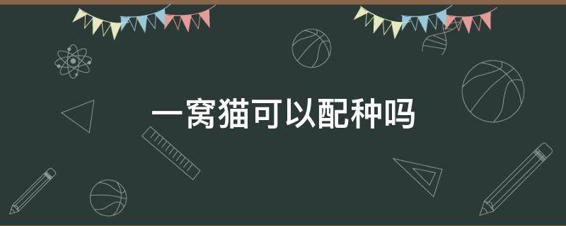 一窝猫可以配种吗 猫一窝的可以配种吗