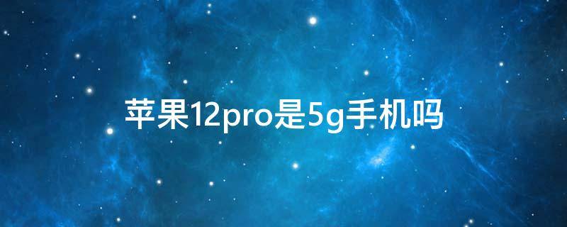 苹果12pro是5g手机吗（iphone11pro是5g手机吗）