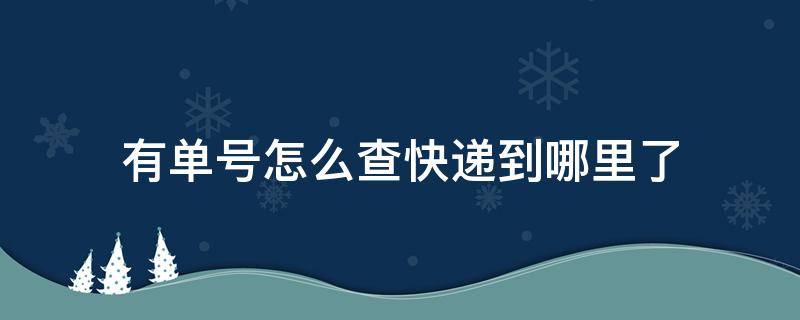 有单号怎么查快递到哪里了（京东有单号怎么查快递到哪里了）