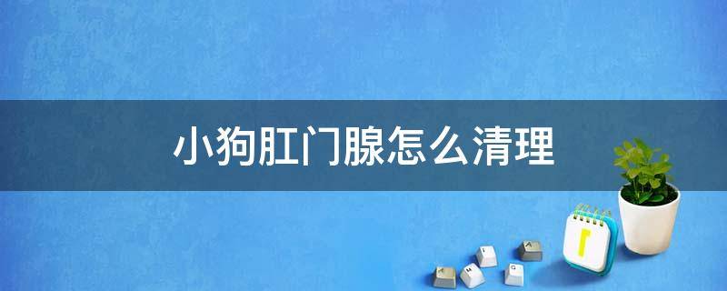 小狗肛门腺怎么清理 怎样清理狗的肛门腺