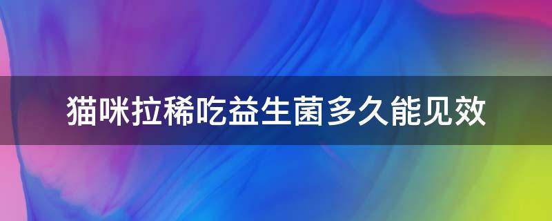 猫咪拉稀吃益生菌多久能见效 猫咪拉稀吃了益生菌大概多久才能好