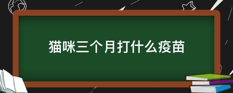 猫咪三个月打什么疫苗（猫咪三个月打什么疫苗多少钱）