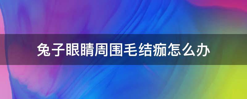 兔子眼睛周围毛结痂怎么办（兔子眼睛周围毛结痂怎么办用什么药）