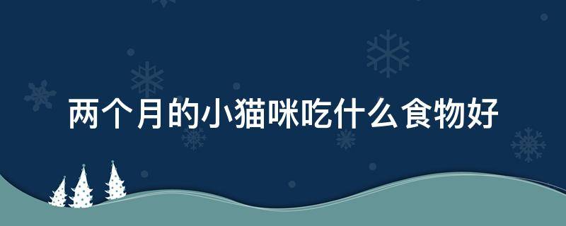 两个月的小猫咪吃什么食物好 2个月小猫咪吃什么食物合适