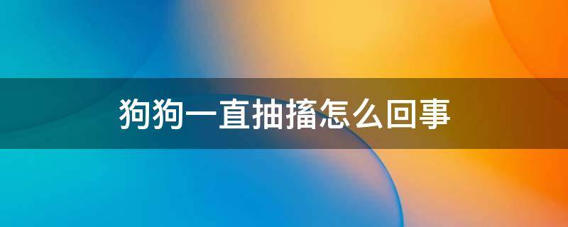 狗狗一直抽搐怎么回事 狗狗经常抽搐是怎么回事