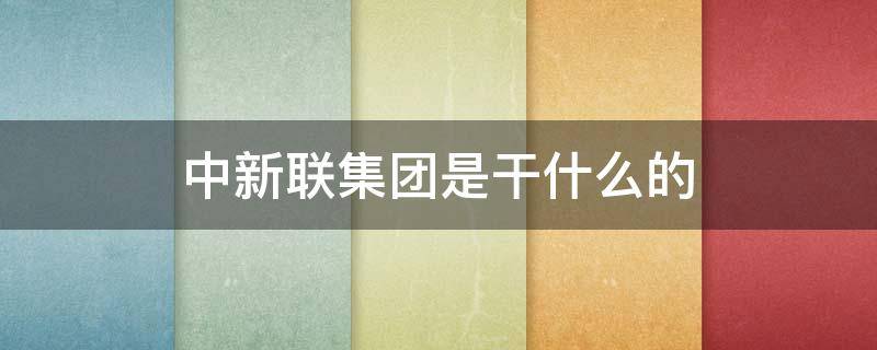 中新联集团是干什么的（中新联公司）