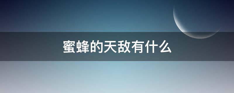 蜜蜂的天敌有什么 蜜蜂是天敌昆虫吗